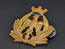 Fregio Aeronautica Militare