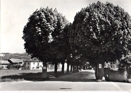 Caldonazzo trento - caldonazzo, -trento