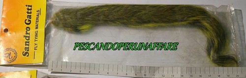 Sandro gatti coda - sandro,