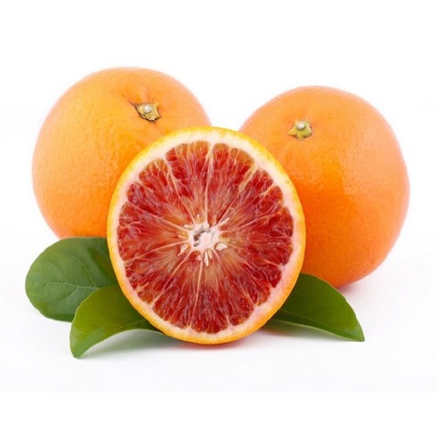 Pianta arancio tarocco - pianta,