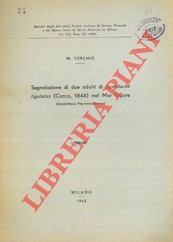 Torchio segnalazione di - ,
