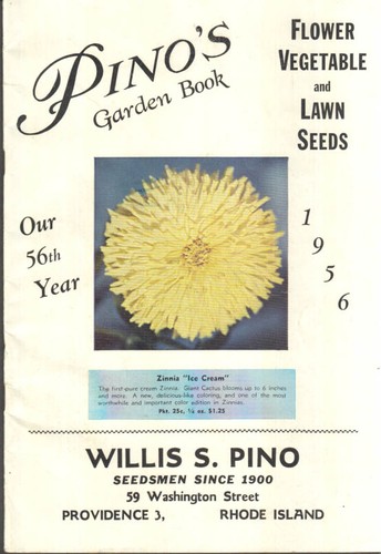 Libro giardino pino 1956 - di,