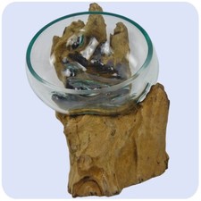 Vaso In Vetro Di Radice Di
