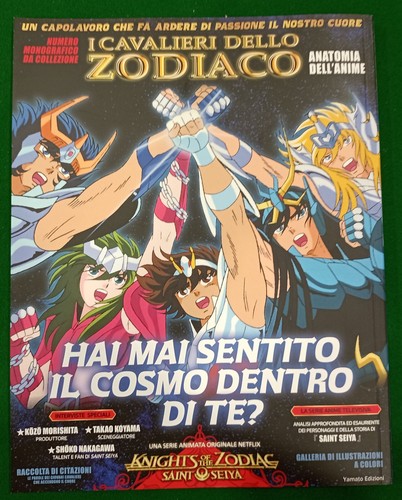 Cavalieri dello zodiaco - cavalieri,