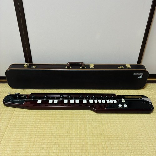 Arpa pavone elettrica ran bass - arpa,