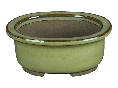 Vaso per bonsai giapponese - per,