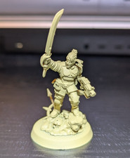 40k Astra Militarum Cadian