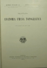 Trattato di anatomia umana
