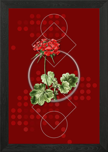 Quadro stampa tela poster - quadro,