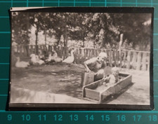 FOTO DONNA CONTADINA BAMBINO DENTRO ABBEVERATOIO  OCHE 1930 - 40 C.  ( F 38 )