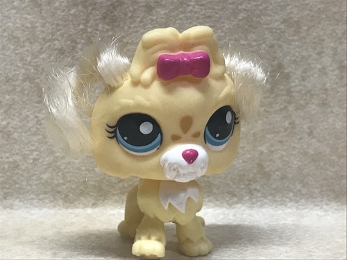 Littlest pet shop lps 2638 - shop, #2638