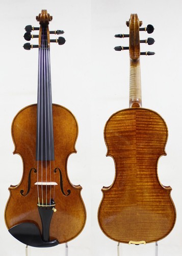 Violino corde copia - violino, 5