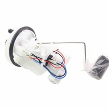 Gruppo modulo pompa carburante