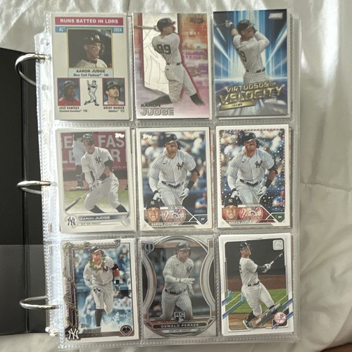 Lotto raccoglitore baseball