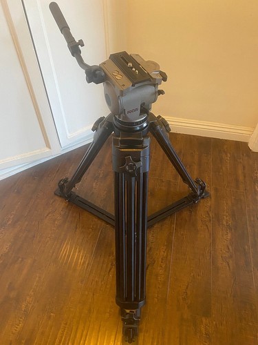 Cartoni focus f100 testa - f100,