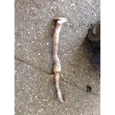 TUBO SCARICO FLESSIBILE PER FIAT BRAVO (07-14) 1.4 16V T-JET (110KW) BER. 2007