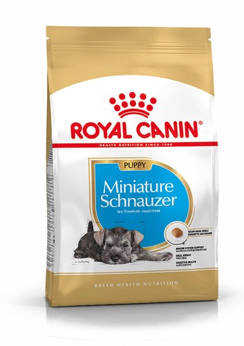 Schnauzer miniatura cucciolo - miniatura,