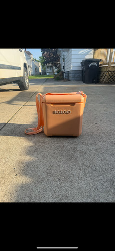 Retro peach igloo mini - peach,