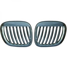 Coppia griglie Calandra