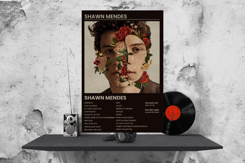 Copertina album stile shawn - copertina,