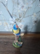 Pappagallo ara vintage