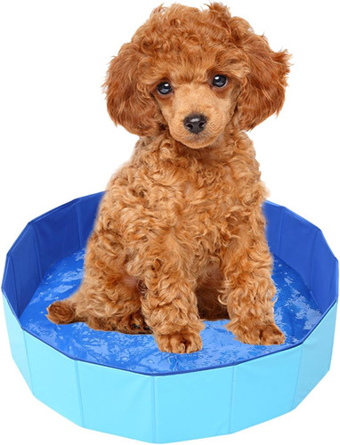 Piscina per cani pieghevole - cani,