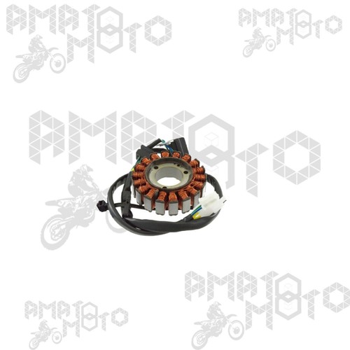 Statore magnete volano - statore,