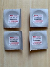 Fascia Elastica Segmenti
