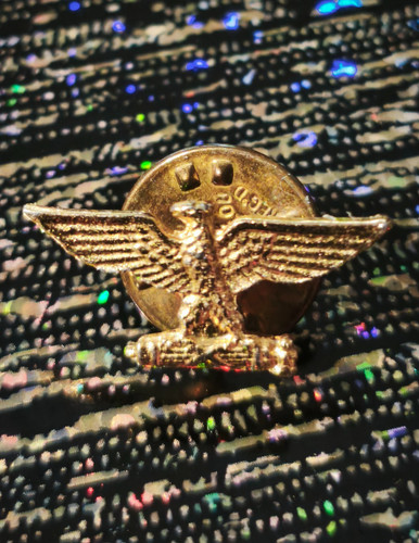 Distintivi militari spilla - distintivi,