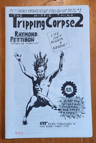 Raymond pettibon tripping - -,