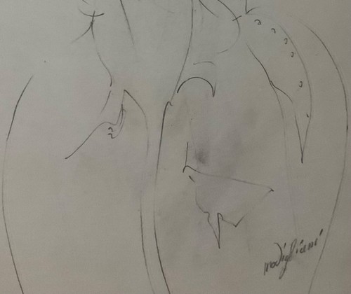 Amedeo modigliani certificato - amedeo,