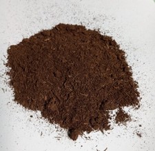 Muschio di torba di sfagno