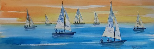 Acquarello 91 d - cm.,