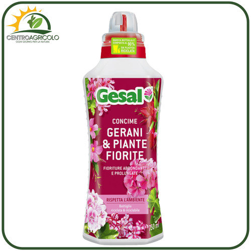 Gesal concime gerani piante - gerani,