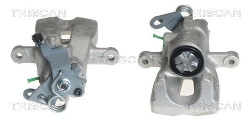 Pinza freno triscan 8170 - freno,
