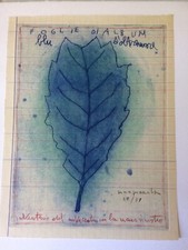 Lucia Pescador incisione acquaforte Arte Contemporanea Italia