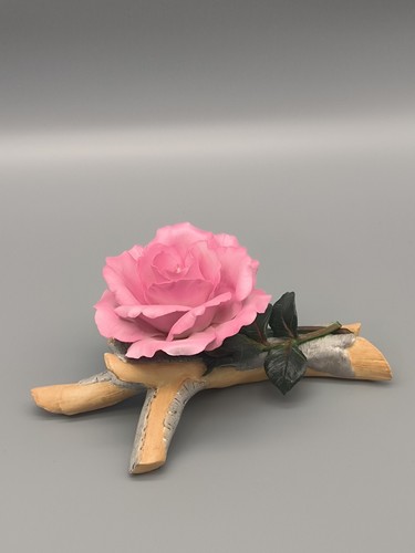 Queen elizabeth rose - elizabeth, |