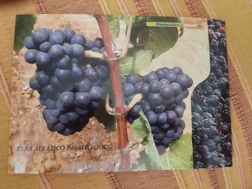 Folder 2016 capoliveri elba - folder,