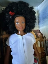 Lammily bambola fotografo