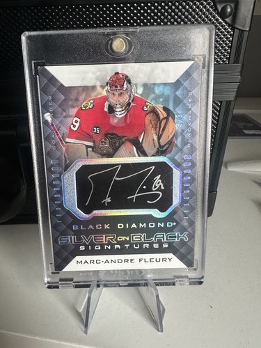 Marc andre fleury silver - andre,