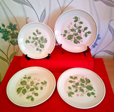 Royal Albert - Rose Arbour