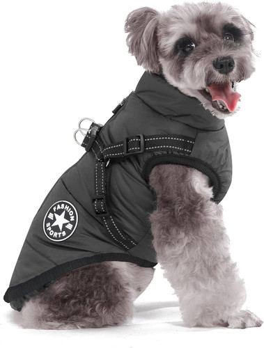 Cappotto cane invernale - cappotto,