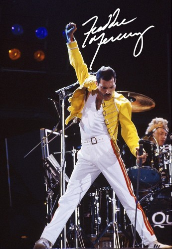 Photo signed by freddie - a3,