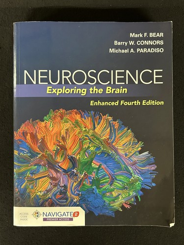Neuroscience exploring the - neuroscience:,