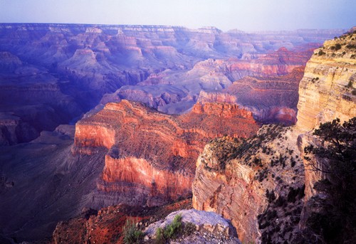 Poster grand canyon bella - poster,