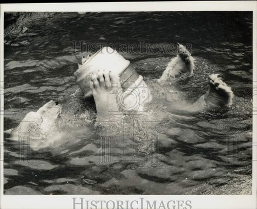 1970 foto stampa 700 libbre - foto,