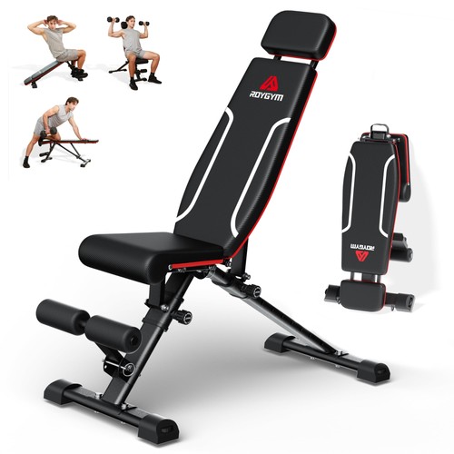 Roygym panca palestra - roygym,
