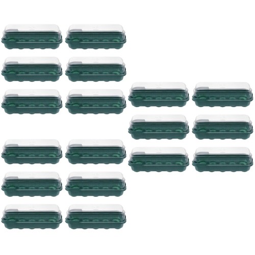 Set germogli erba grano - di,