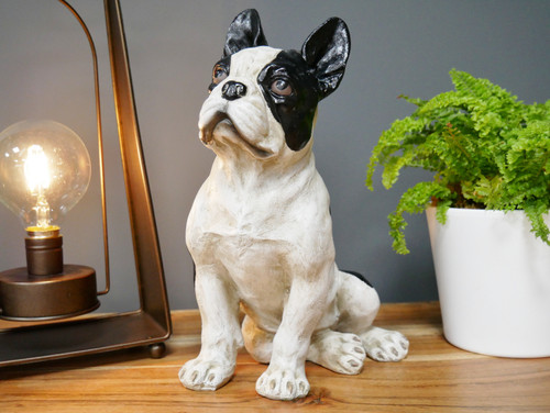 Bulldog francese seduto