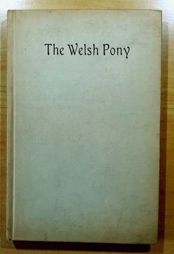 The welsh pony olive - the,